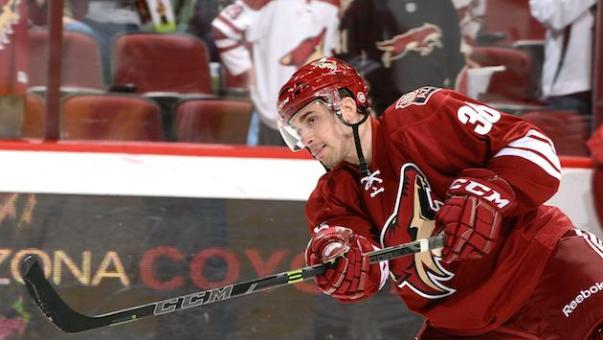 GLENDALE, AZ - FEBRUARY 13:  Mark Arcobello #36 of the Arizona Coyotes prepares for a game against the San Jose Sharks at Gila River Arena on February 13, 2015 in Glendale, Arizona.  (Photo by Norm Hall/NHLI via Getty Images)