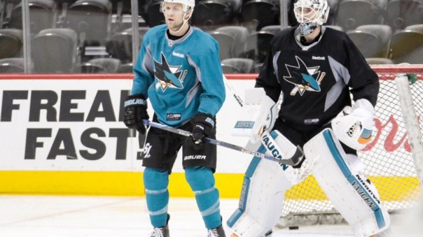 nick spaling sharks.jpg